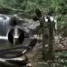 Камуфлажна плазмена запалка с фенерче GG